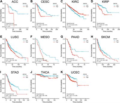 Multi-functional gene ZNF281 identified as a molecular biomarker in soft tissue regeneration and pan-cancer progression